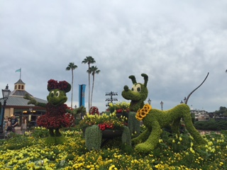Epcot Flower Garden small - March Events in Orlando