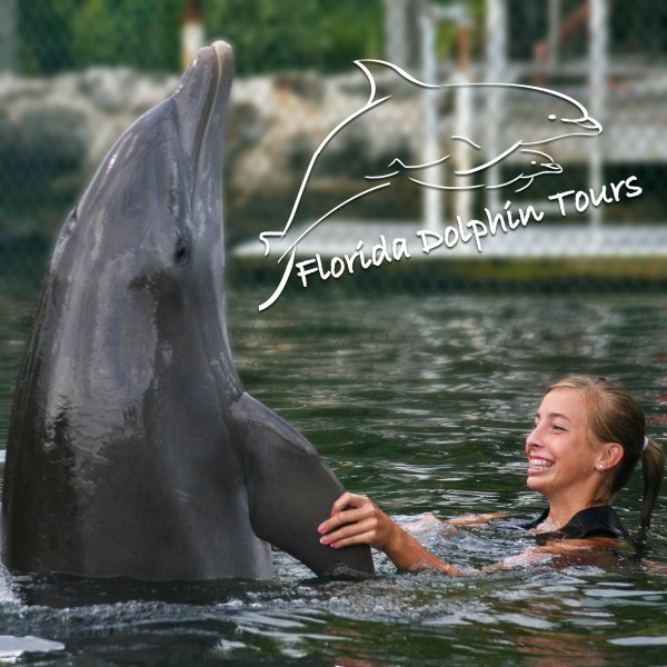 Florida Dolphin Tours - staySky Suites I-Drive Orlando