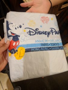 Walt Disney World - poncho disney