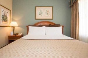 StaySky Suites I - Drive - Orlando Resorts - KingBed