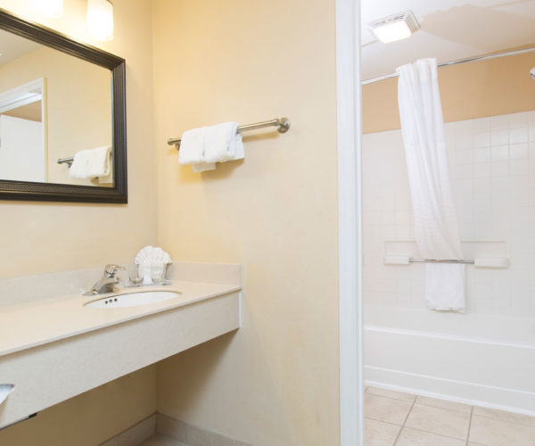 orlando one bedroom suite - New Bathroom