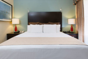 StaySky Suites I - Drive - Orlando Resorts - NewKingBed2
