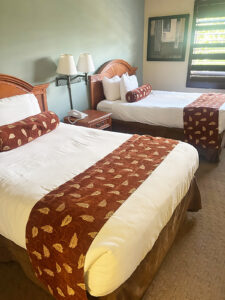 Partial Ada Suite With Double Bed Suite