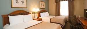 StaySky Suites I - Drive - Orlando Resorts - Queen Room