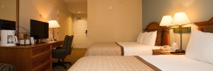 StaySky Suites I - Drive - Orlando Resorts - Executive Room