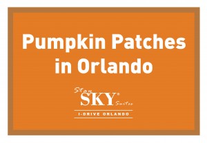 StaySky Suites I - Drive - Orlando Resorts - Pumpkin