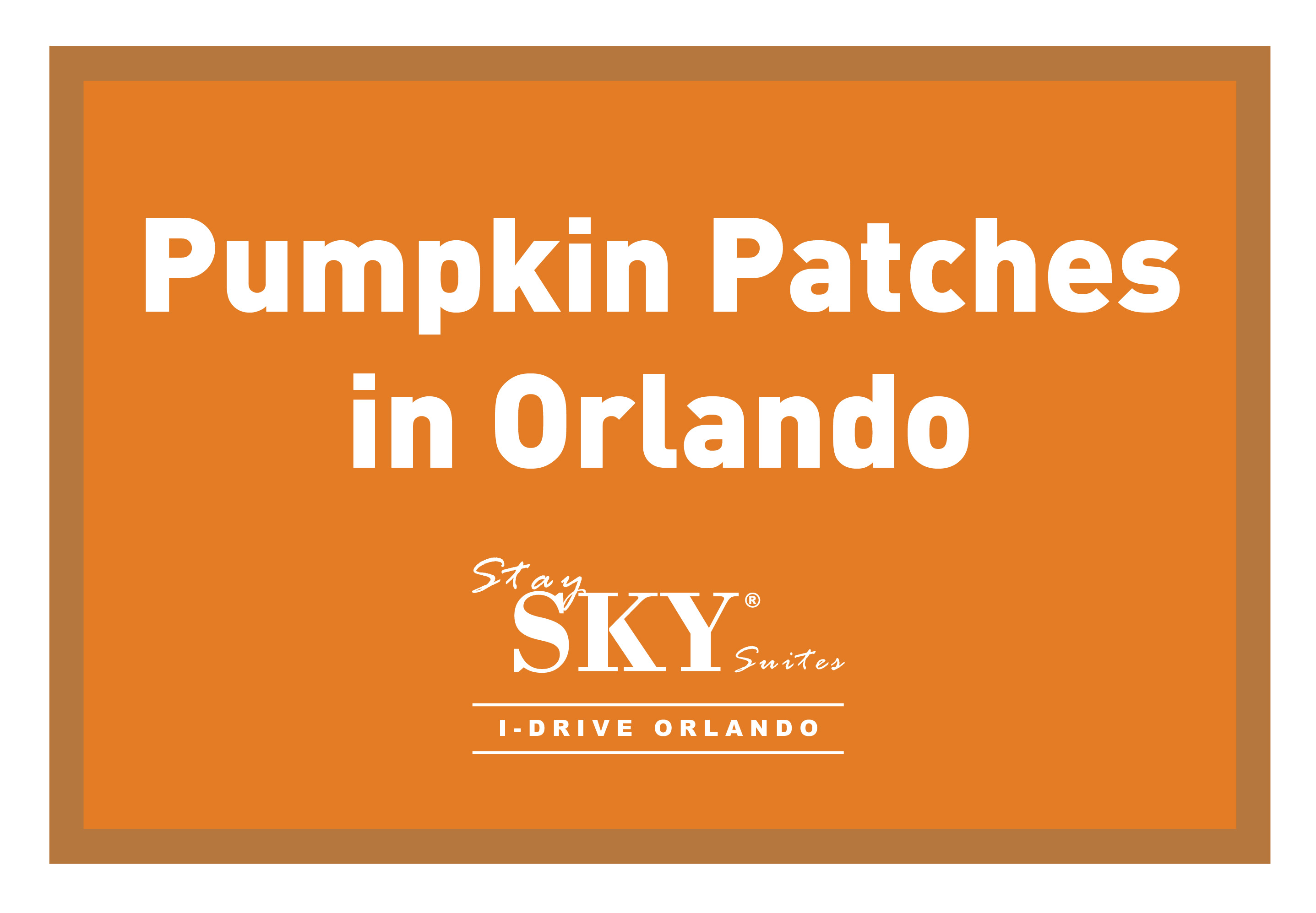 StaySky Suites I - Drive - Orlando Resorts - Pumpkin