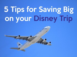 Money Saving Tips for Travel to Disney - staySky Suite I-Drive Orlando