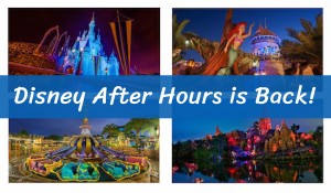 StaySky Suites I - Drive - Orlando Resorts - DisneyAfterH