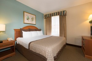 Executive Guestroom Suites - staysky Suites I-Drive Orlando