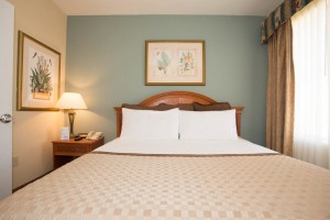 StaySky Suites I - Drive - Orlando Resorts - King2