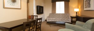 Living Room in Suites - staySky Suites I-Drive Orlando