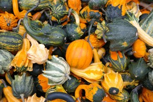 Best Pumpkin Patch Locations Orlando - staySky Suites I-Drive Orlando