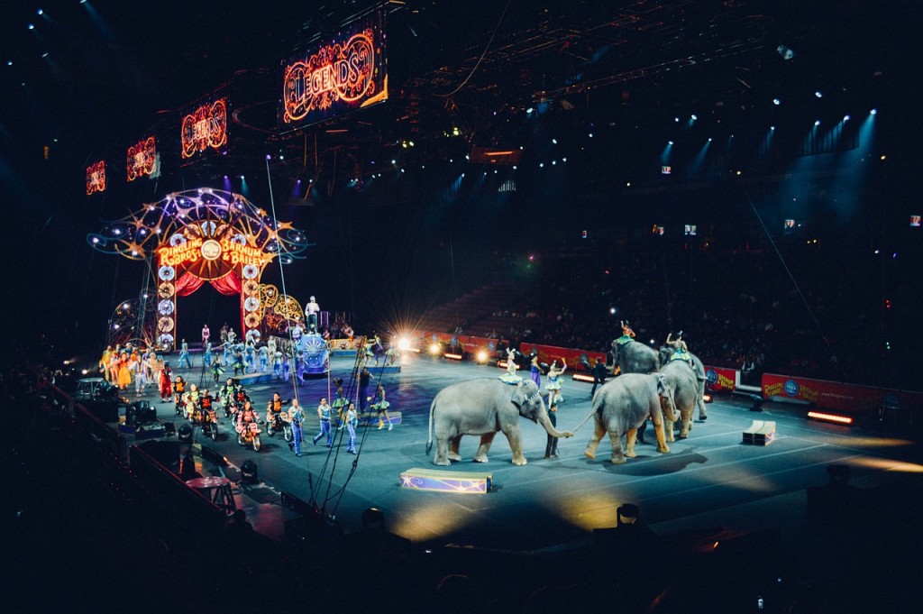 Ringling Bros - Orlando January Events